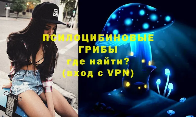 Галлюциногенные грибы Psilocybine cubensis  darknet телеграм  Санкт-Петербург 